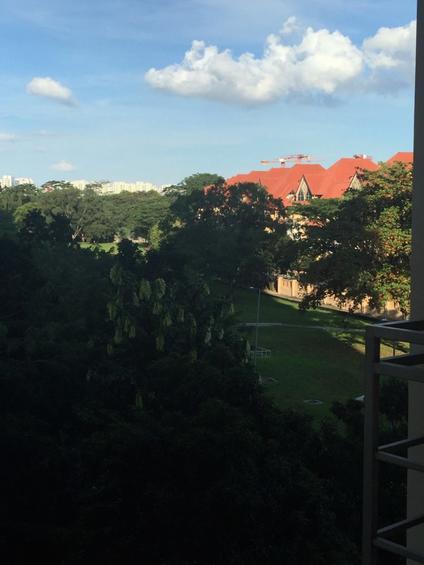 Fernvale Road thumbnail photo